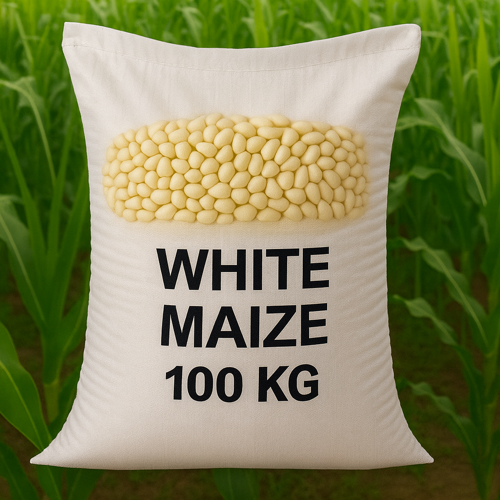 Maize