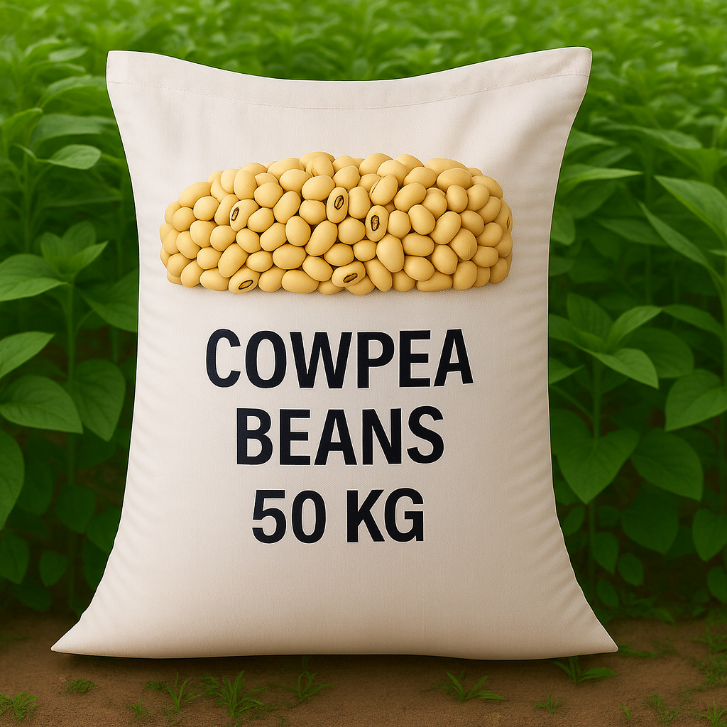 Cowpea Beans